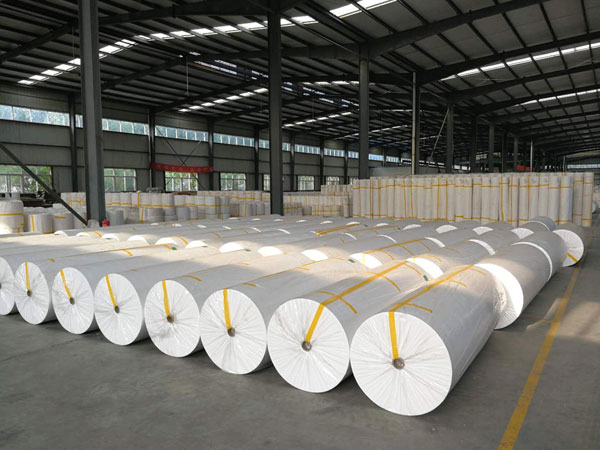 容县狭缝式涤纶纺粘无纺布